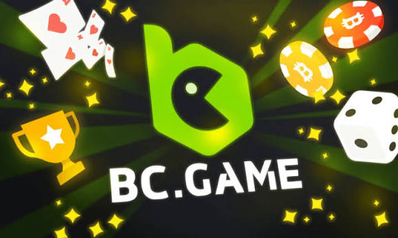 Comprehensive Guide to BC App Verification